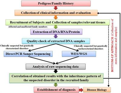 Review: Understanding Rare Genetic Diseases in Low Resource Regions Like Jammu and Kashmir – India